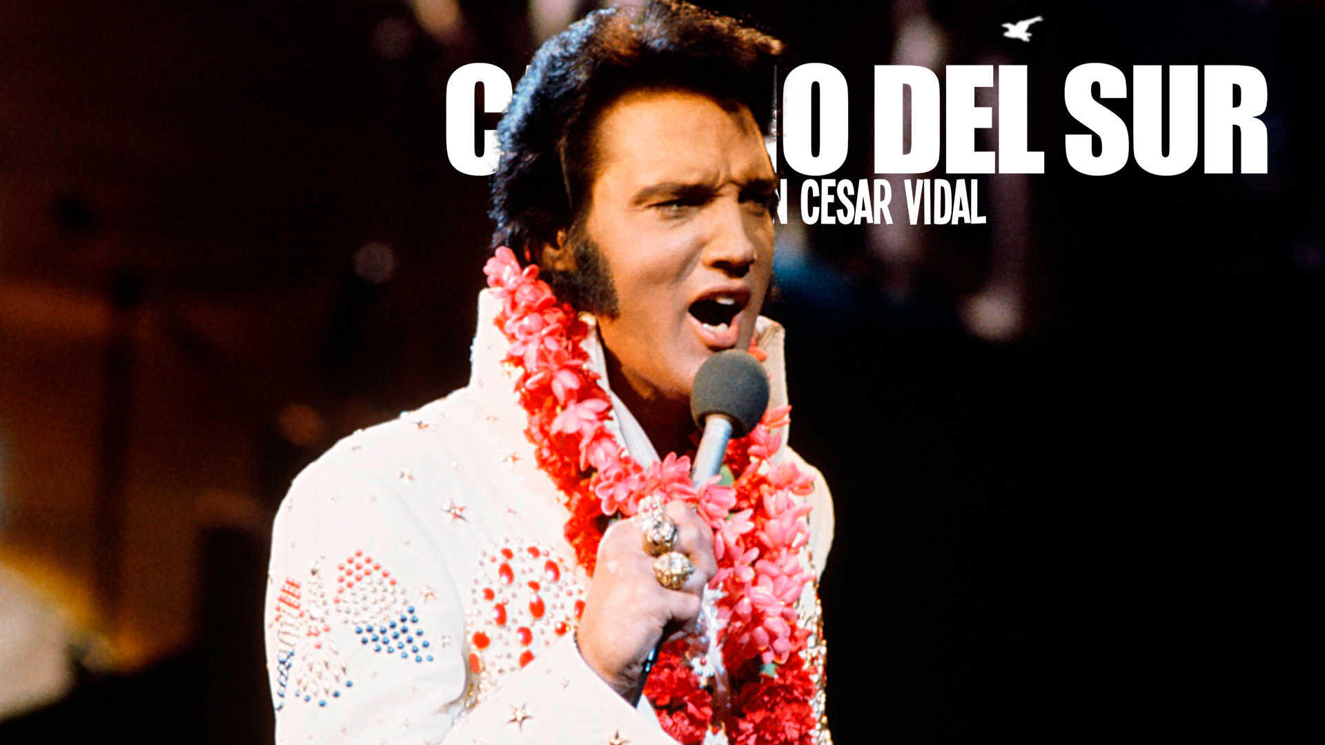 Camino del Sur - 31/10/21