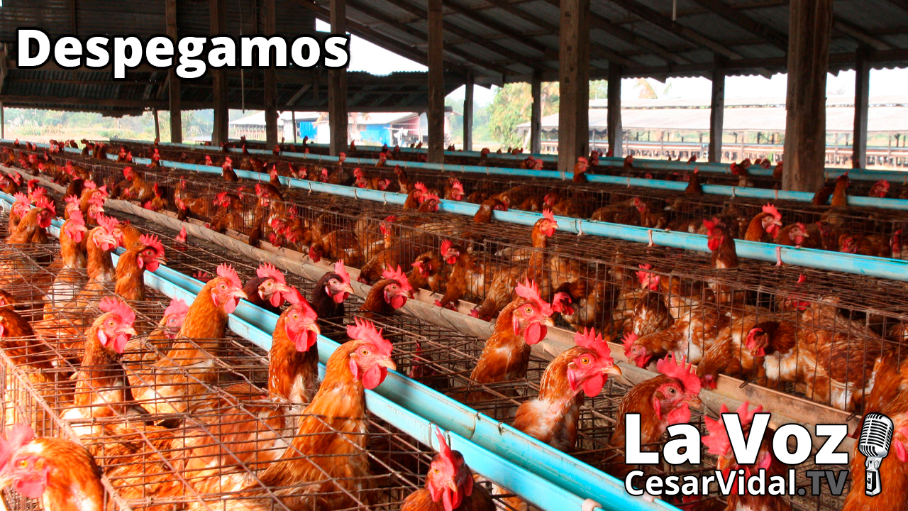 Miedo en Wall ST, BlackRock aprieta a Iberdrola y la verdad de las macrogranjas