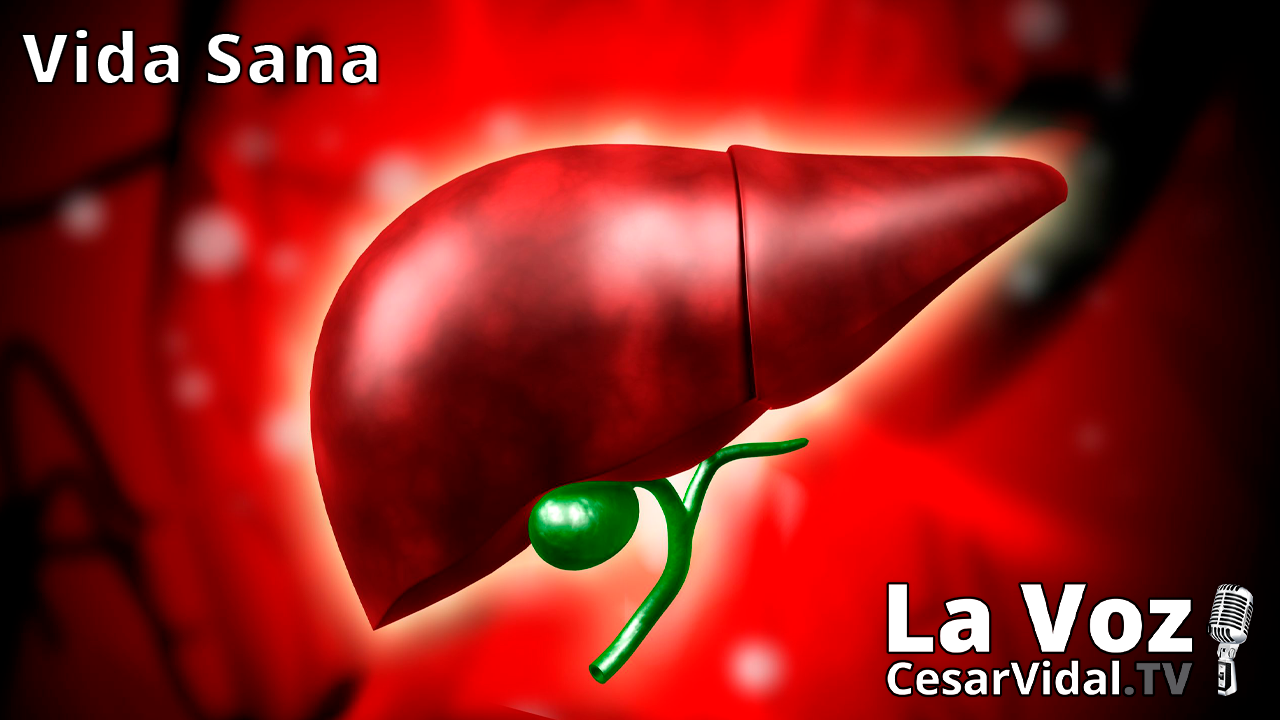 El hígado - 09/06/21