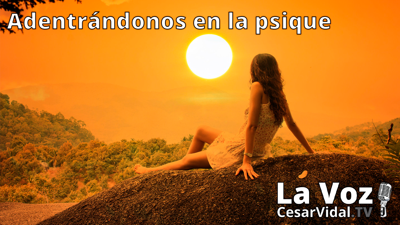 Las expectativas y la realidad (2) - 12/05/21