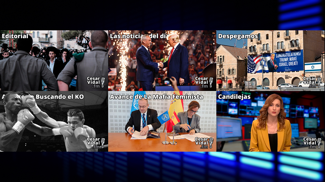 Programa Completo - 15/11/24