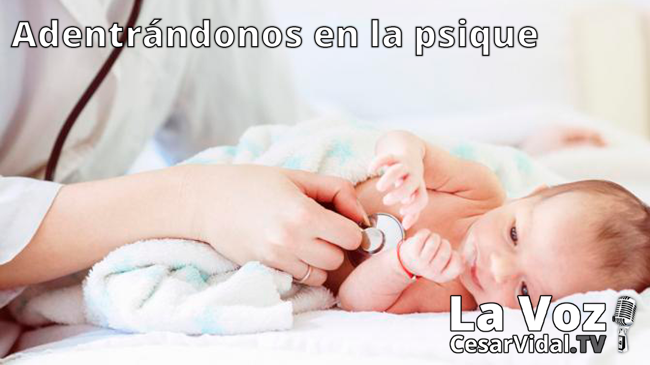 Los reflejos primarios, aprendizaje y comportamiento - 07/04/21