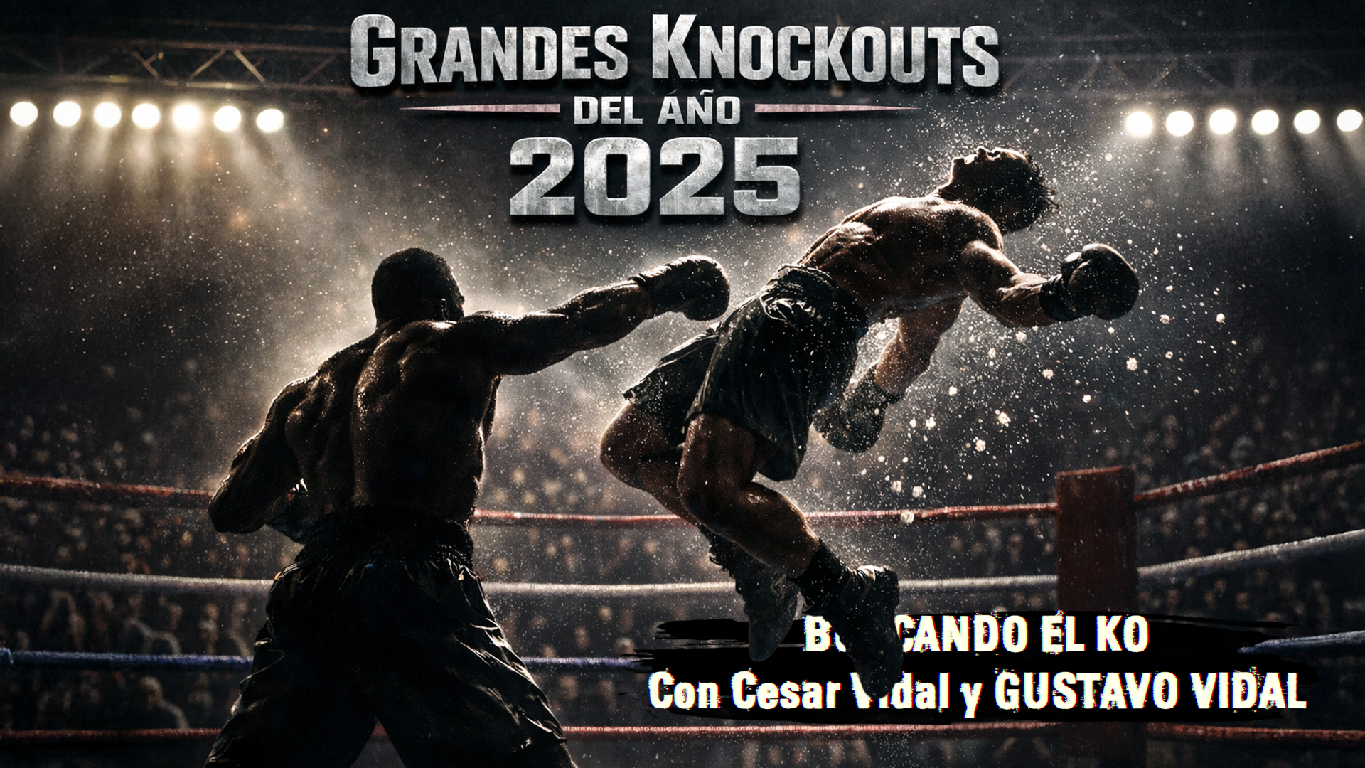 Grandes Knockouts del año 2025 - 03/01/26