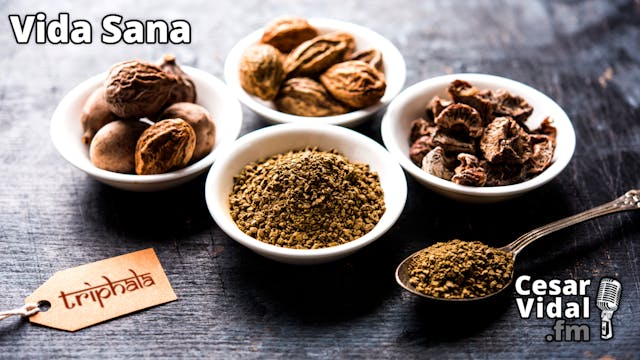 TRIPHALA: la fórmula ayurvédica - 15/...