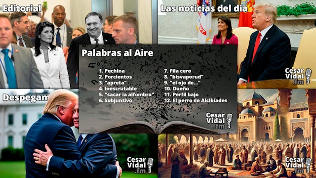 Programa Completo - 11/11/24