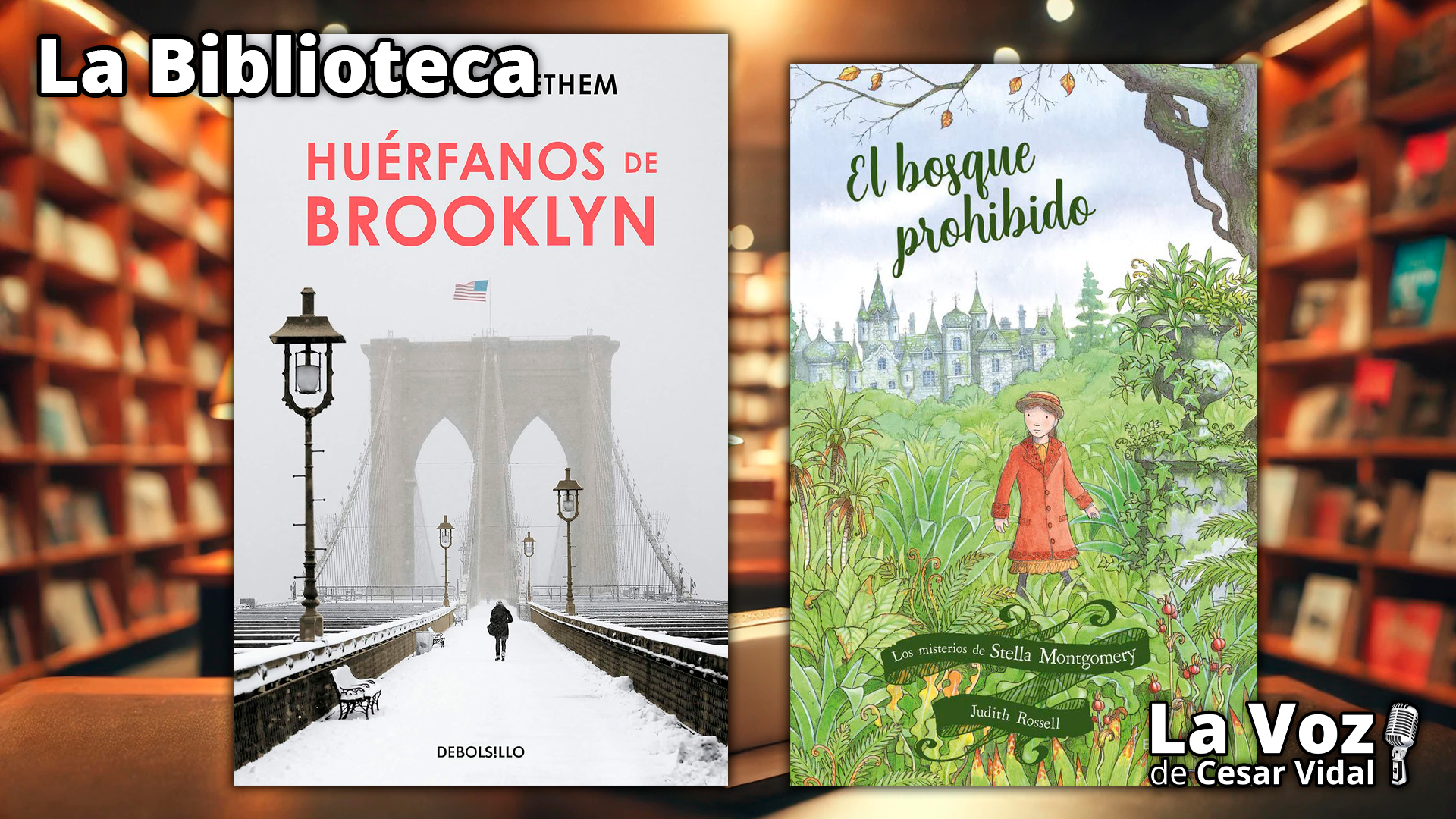 "Huérfanos de Brooklyn" y "El bosque prohibido" - 15/01/25