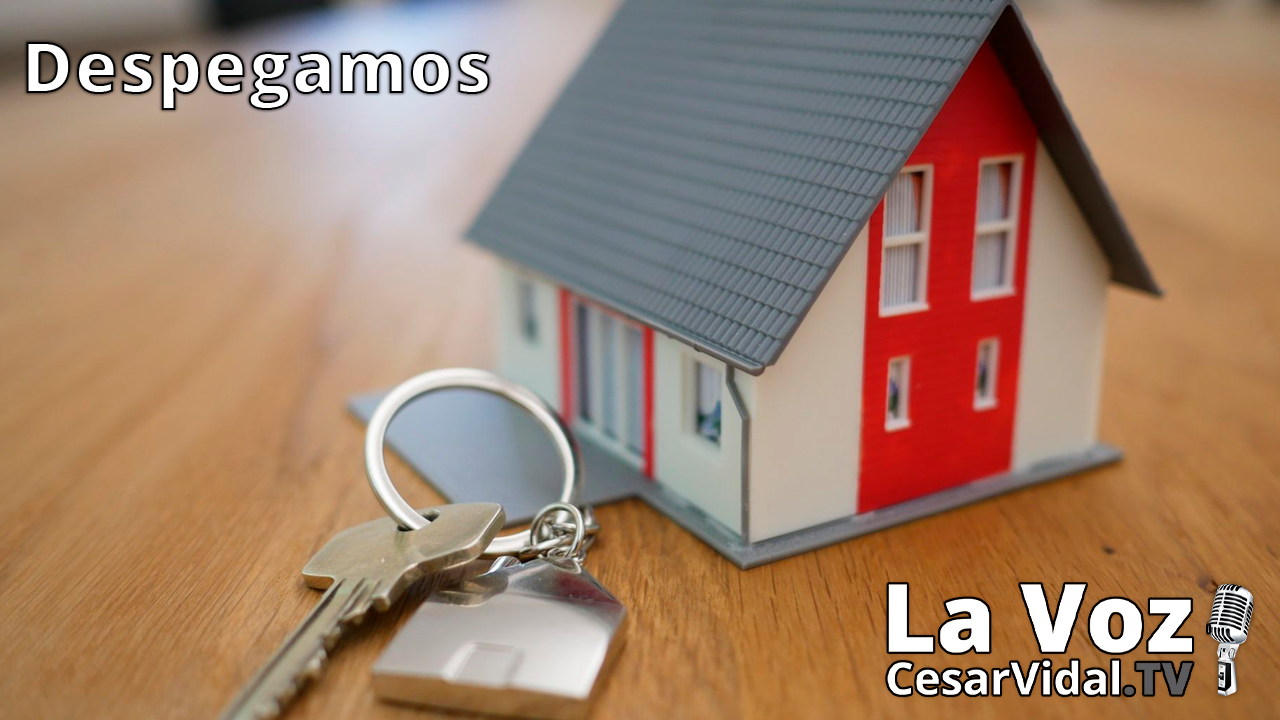 Hemorragia bancaria, hipotecas negativas y los delincuentes de la AEAT - 14/10