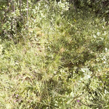 Eichgraben_20170809, 30 minutes in