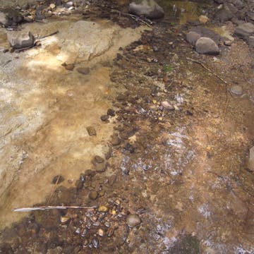 Zellerbach_20170711, 30 minutes in