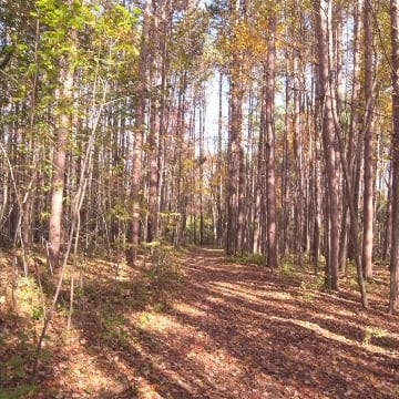 2012_10_17 Amherst Conservation Area ...