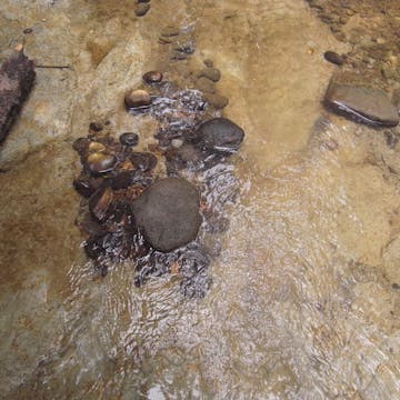 Zellerbach 20170711_1080_min30