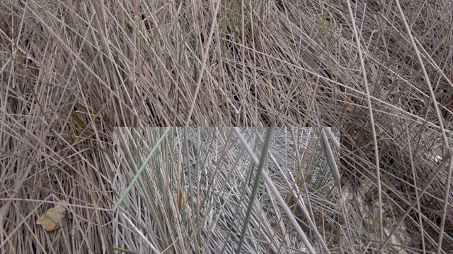 20180213_Brown Lake_part2_1434-1504