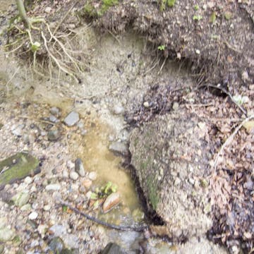 20170814_Eichgraben 60 minutes in