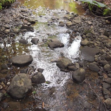 Zellerbach 20170711_1080_min150