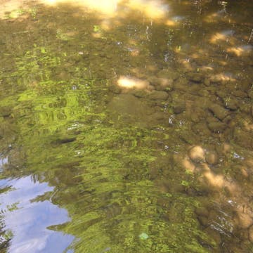 Zellerbach_20170711, 120 minutes in