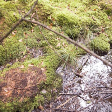 Eichgraben_20170809, initial minutes