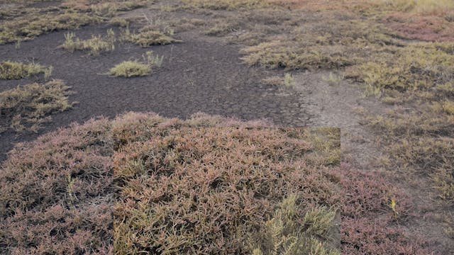 20180617_Insulator Creek_0605-0615