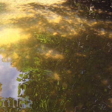 Zellerbach 20170711_1080_min120