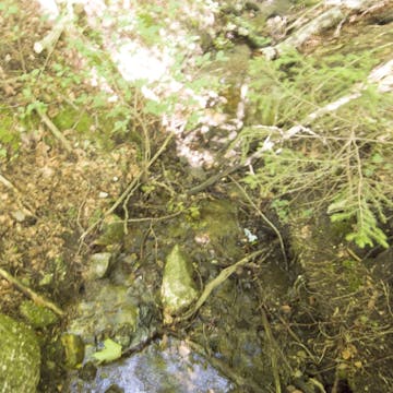 20170814_Eichgraben Initial minutes