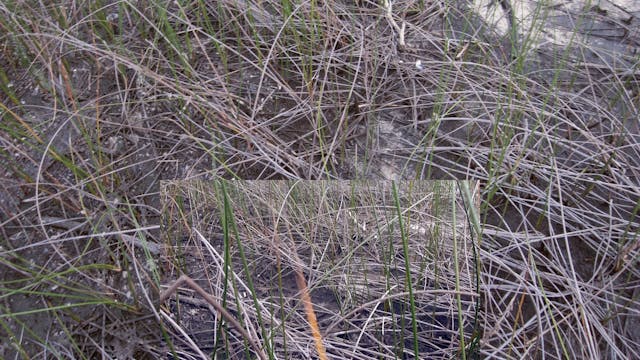 20180213_Brown Lake_part1_0618-0634
