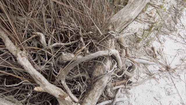 20180213_Brown Lake_part2_2442-2456