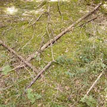 Eichgraben_20170720, initial minutes