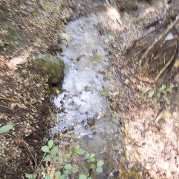 20170814_Eichgraben-30+2