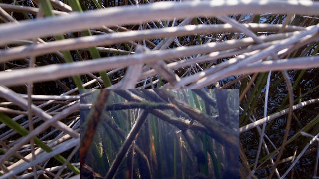 20180213_Brown Lake_part1_6513-6640