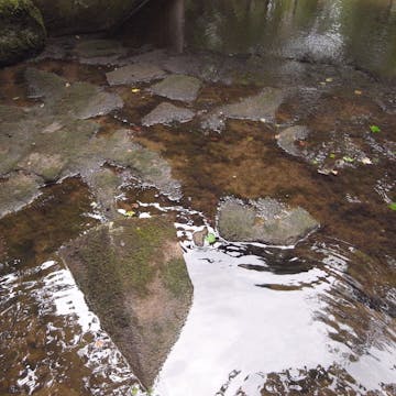 Zellerbach_20170711, initial minutes