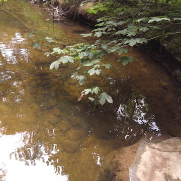 Zellerbach 20170711_1080_min60