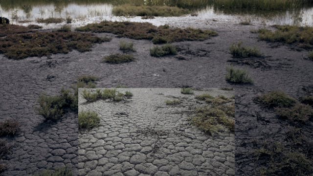 20180617_Insulator Creek_1210-1230