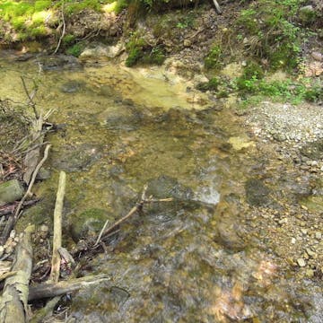 Burgleitenbach_20170707, 30 minutes in