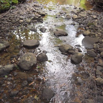 Zellerbach_20170711, 150 minutes in