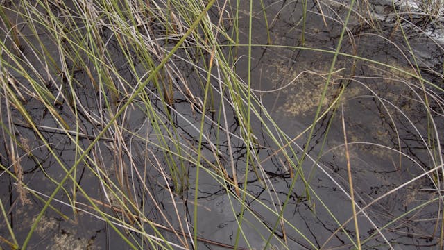 20180213_Brown Lake_part2_3630-3715