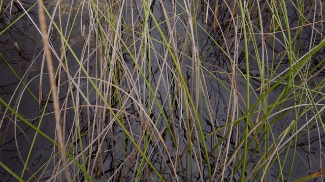 Bummel_20180213_1080_10min02