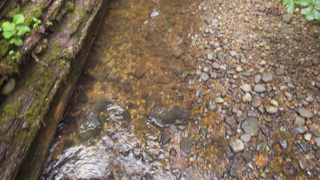 Starzenbach_20170714_1080_10min2