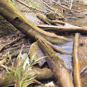 Burgleitenbach_20170707, initial minutes