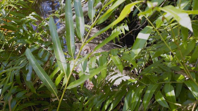 Hull NP_20180619_1080_10min