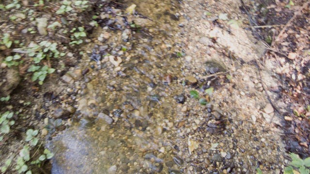 Eichgraben_20170814_1080_10min