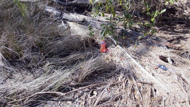 20180214_Myora-Springs_0515-0536