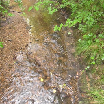 Starzenbach_20170714, 60 minutes in