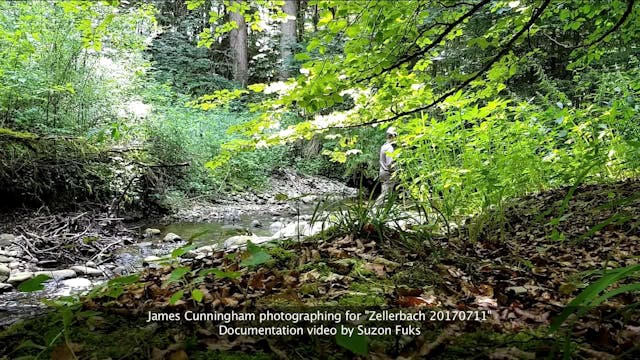 Document -- Zellerbach