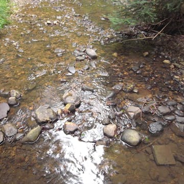 Starzenbach_20170714, 120 minutes in.