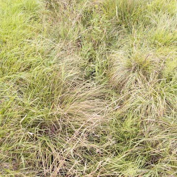 Eichgraben_20170809, 90 minutes in