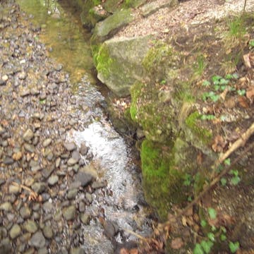 Starzenbach_20170714, 90 minutes in.