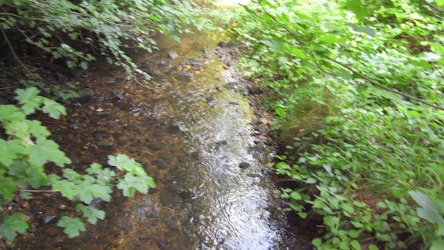 Starzenbach_20170714_hyperlapse