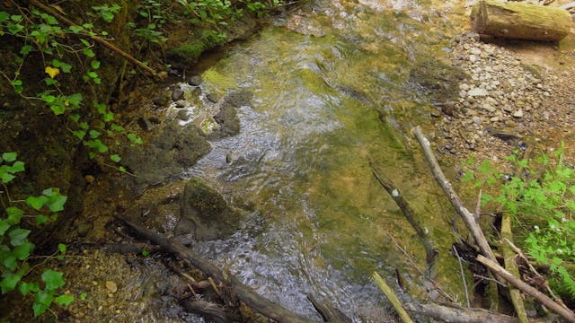 Burgleitenbach_20170707_1080_10min2