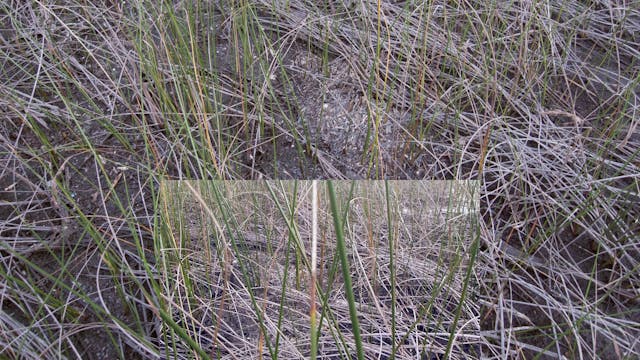 20180213_Brown Lake_part1_0533-0556