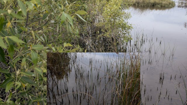 20180617_Insulator Creek_3155-3300