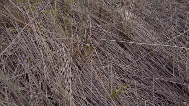 Bummel_20180213_1080_10min01